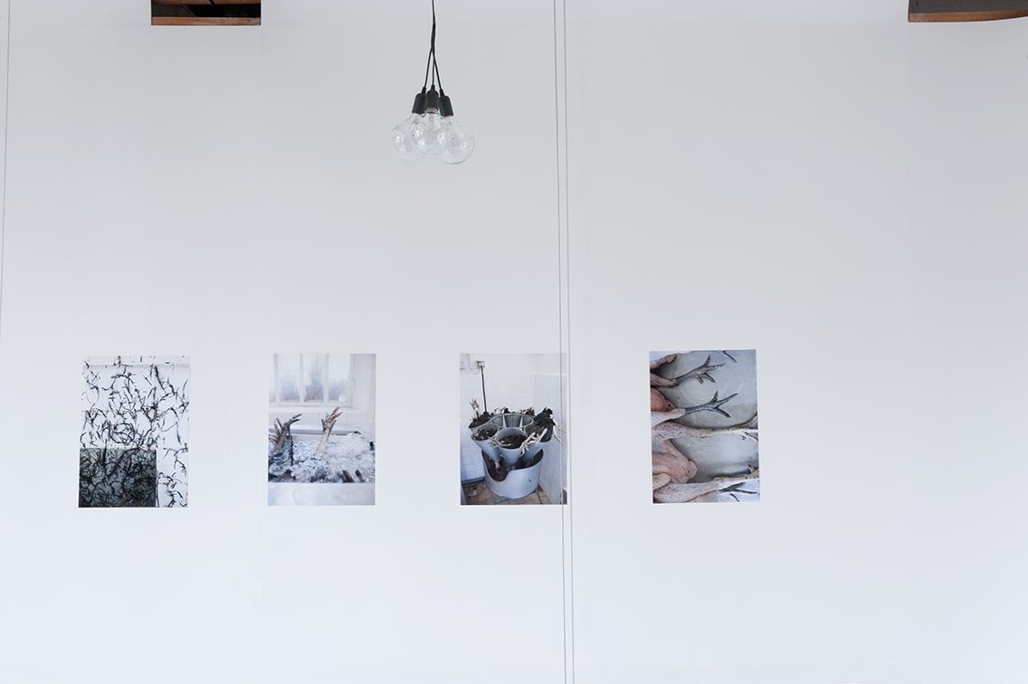 Photo du setup au sein du studio Cyclorama pour une exposition dédiée aux bijoux de la créatrice Louise Vurpas. Bijouterie-joaillerie sur-mesure